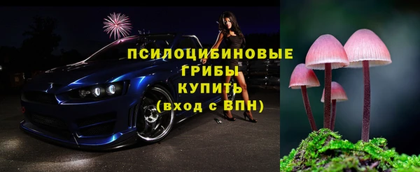 PSILOCYBIN Алексеевка