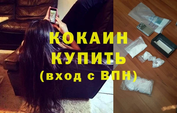соль ск Алексин