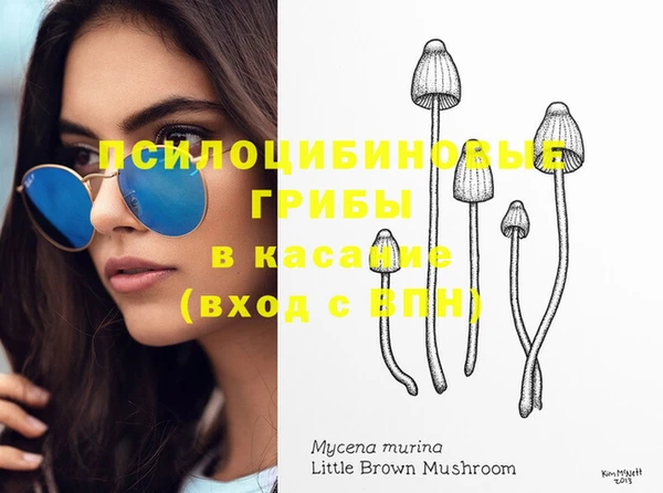 PSILOCYBIN Алексеевка