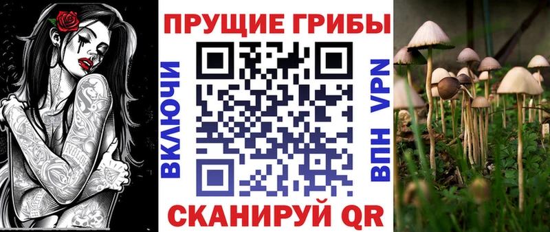 Галлюциногенные грибы Magic Shrooms Старая Русса