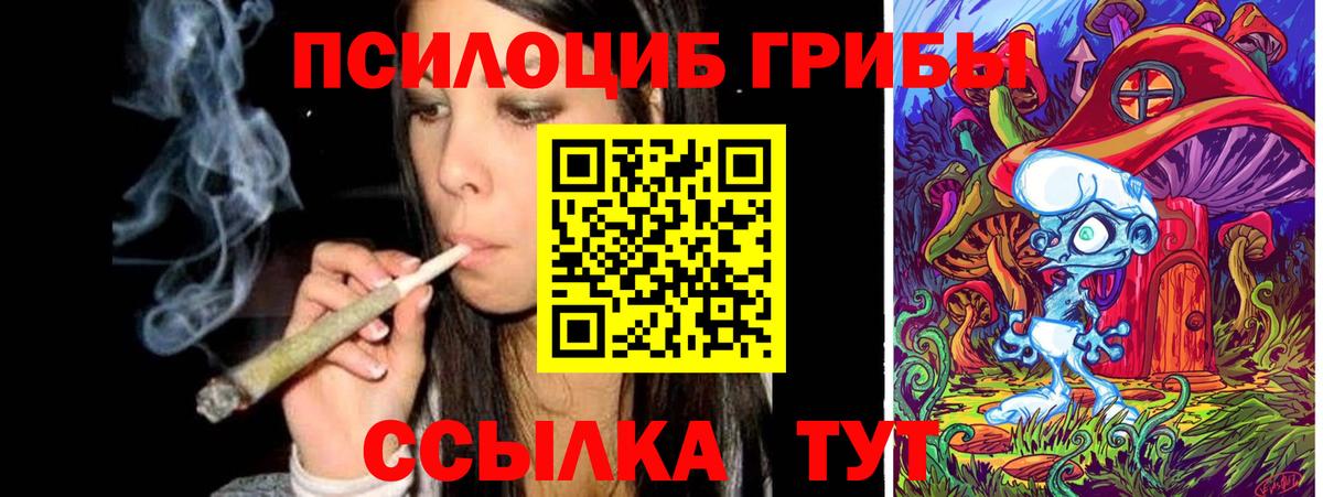 где можно купить наркотик  Псилоцибиновые грибы Psilocybe  Вход с VPN  Старая Русса 