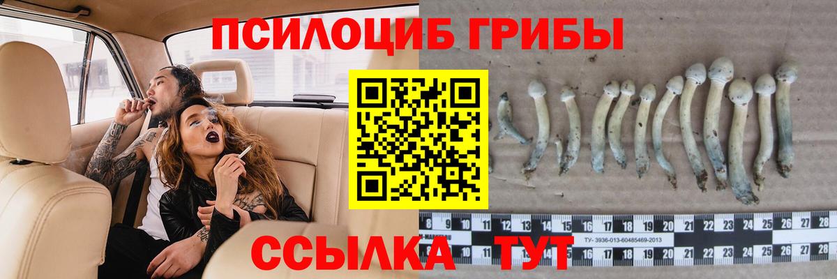 Галлюциногенные грибы ЛСД Старая Русса